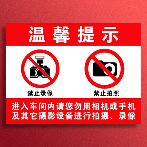 萧以墨 工欲善其事，必先‘密’其境——论工厂车间‘禁止拍照摄像’标识的深层价值